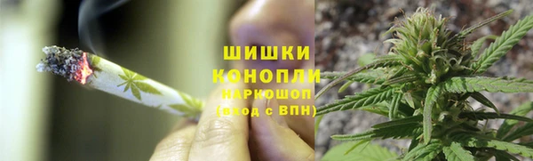 PSILOCYBIN Бородино